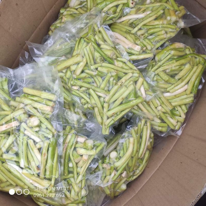 Ngó khoai  ngọt, không ngứa