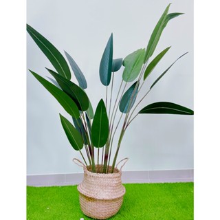 Cây chuối giả cảnh lá nhọn 1m2 - 1m6, cây giả lá lụa siêu đẹp - chuối cảnh decor trang trí nội thất - tặng chậu nhựa