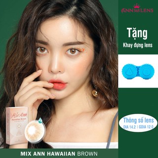 Kính áp tròng 1 tháng Silicone Hydrogel màu cam Hawaiian Brown ANN365 đeo êm 12H/ ngày