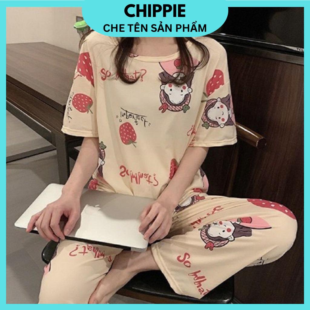 Bộ Đồ Nữ Mặc Nhà, Bộ Đồ Ngủ Thun Mỏng Hè Thu Áo Cộc Quần Dài CHIPPIE BHT4