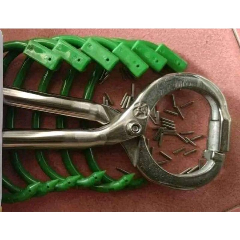 Vòng Xỏ Mũi Trâu Bò