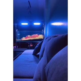 Week Z400 pro Uv 2.0