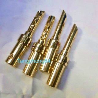 Jack chuối loa xoắn xi vàng , giá 4 cặp 140k