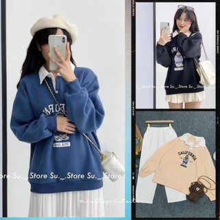 Áo polo dài tay nữ hình gấu california chất nỉ cotton form rộng max only