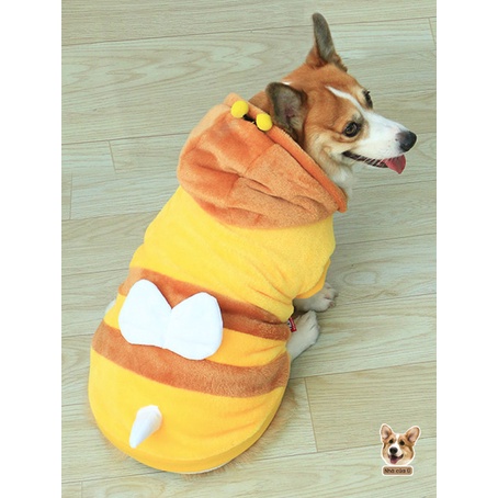 Áo Cho Chó To - Áo Thu Đông Cho Corgi, Samoyed, Golden chất Nhung Bông Hình Con Ong