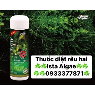 Ista premium algae remover - diệt rêu hại ista 240ml