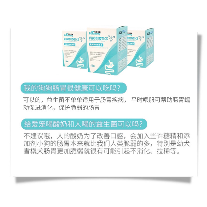 Men vi sinh cho mèo Borammy hỗ trợ tiêu hoá cho chó với Probiotic ngừa nôn mửa tiêu chảy BM15