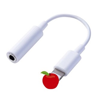 Jack hỗ trợ chuyển đổi cổng tai nghe bà bầu từ vuông sang tròn