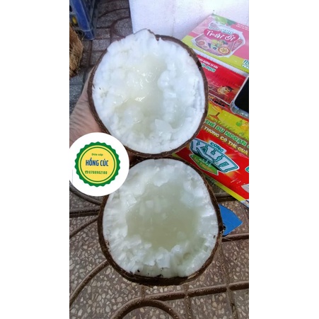 DỪA SÁP ĐẶC BIỆT