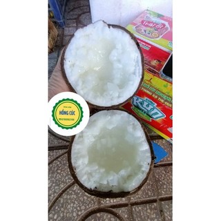 Dừa sáp đặc biệt