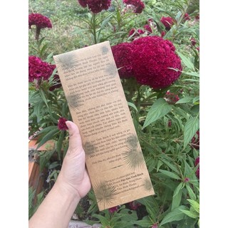ĐŨA BUÔNG BÌNH THUẬN (Đũa Kè) VIP (16k/đôi)