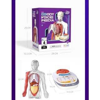 Topbright bộ đồ chơi Stem Steam khoa học tìm hiểu về cơ thể người humanbody voice pedia - có âm thanh tiếngTrung