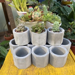 [Rẻ Nhất HN]Chậu xi măng mini trồng sen đá vỉ