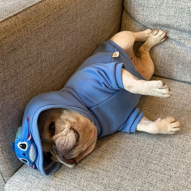 Áo Thu Đông In Hình Stitch Dễ Thương Cho Thú Cưng