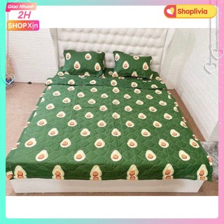 Ga Trải Giường bo chun-mẫu bơ xanh