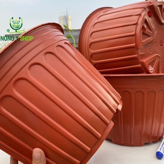 Combo 10 chậu Chậu Nhựa Mỏng Dẻo Nâu Đỏ, trắng, Vành Cứng Trồng Cây, trồng hoa tết, vạn thọ, cúc Size 23-16cm 28-20cm