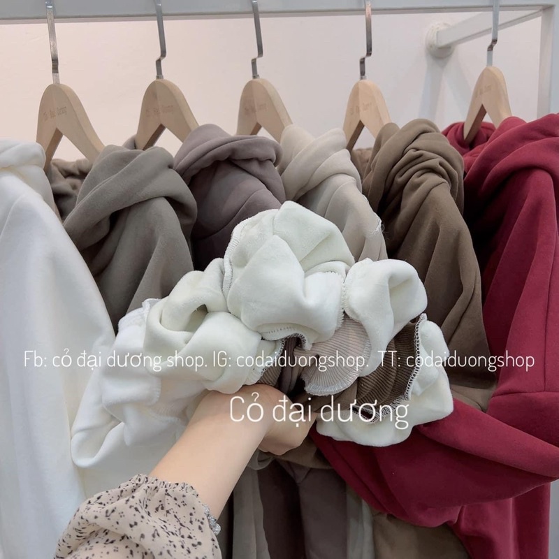 THE2001STORE | Áo hoodie trơn chất nỉ lót lông nhung mịn dày dặn phong cách Hàn Quốc