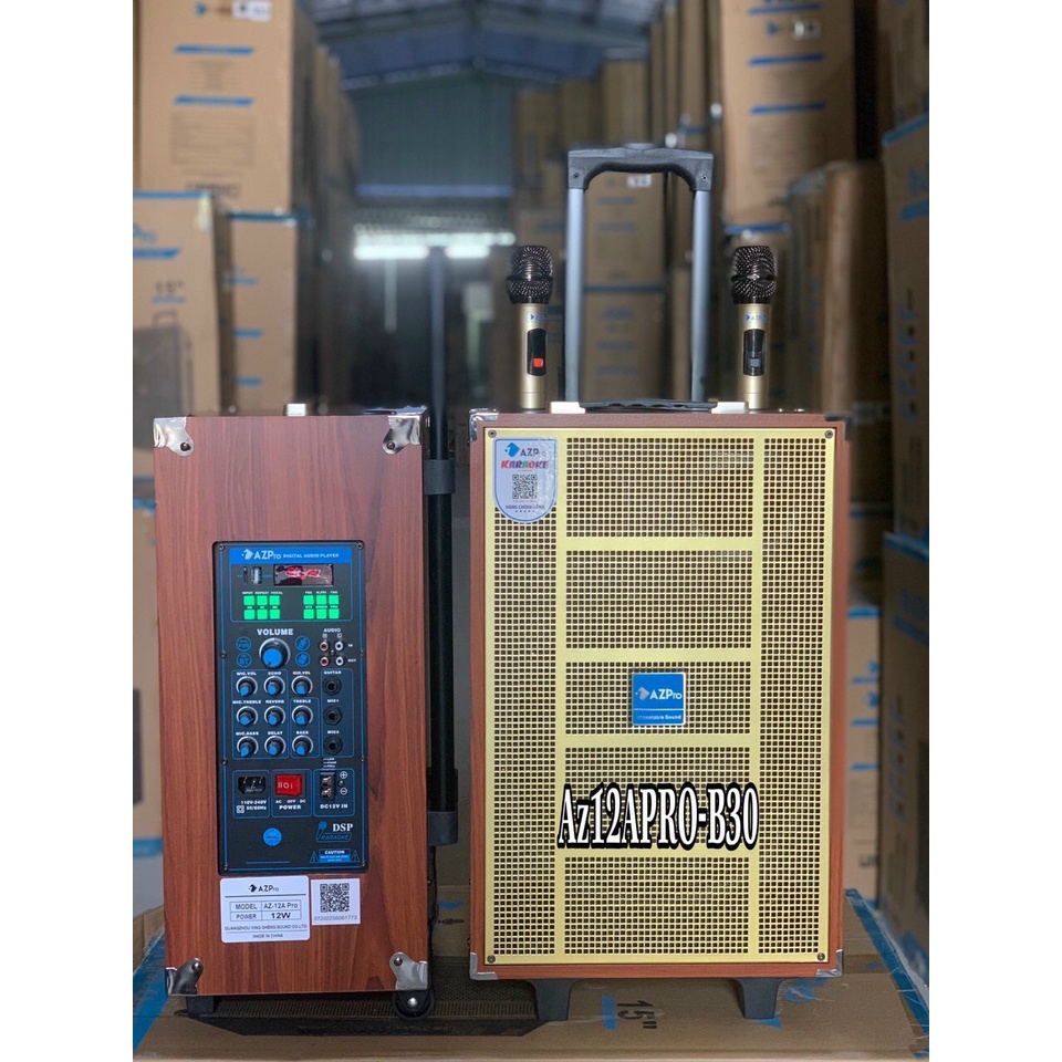 Loa kéo hát karaoke AZ12A PRO