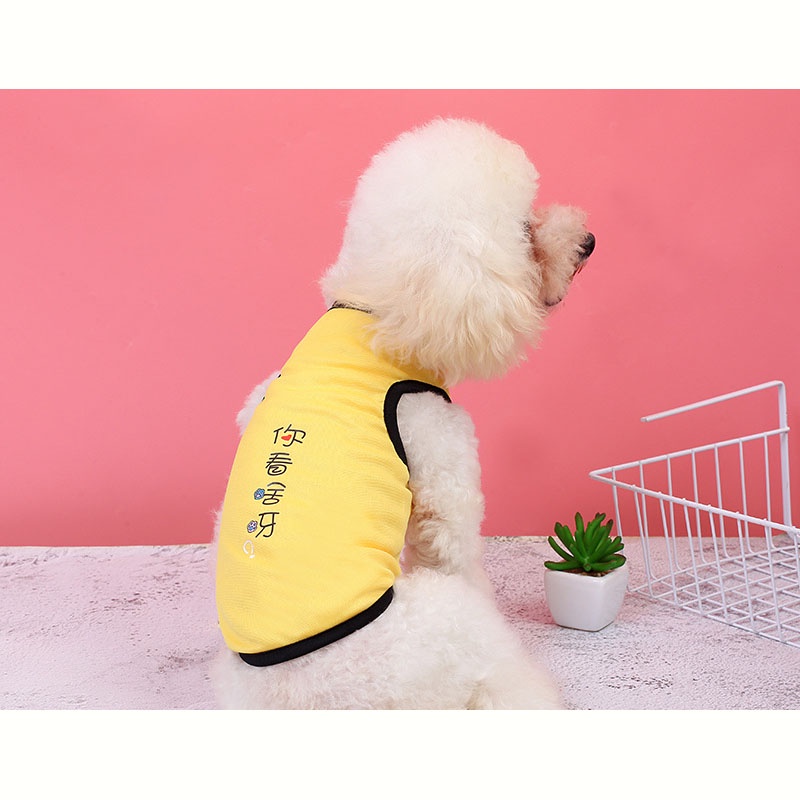 Áo Ba Lỗ Màu Trơn Thoáng Khí In Họa Tiết Hoạt Hình Dễ Thương Dành Cho Thú Cưng