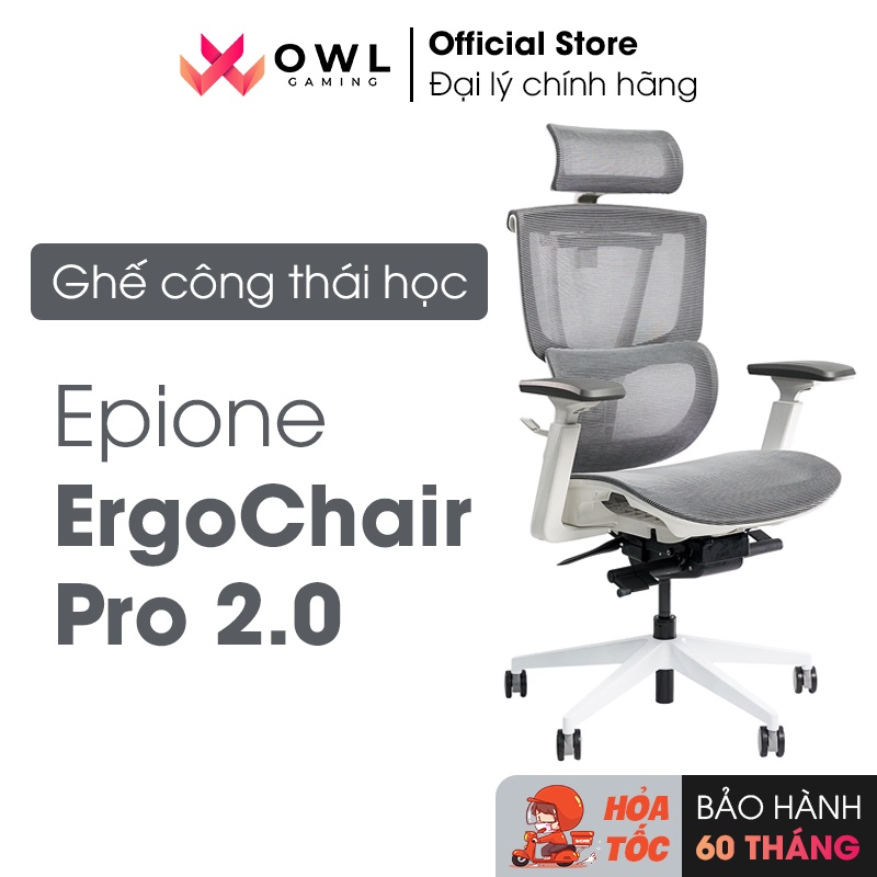 Ghế công thái học ergonomic Epione ErgoChair Pro 2.0 (Cool Gray / All Black) (Hàng chính hãng)