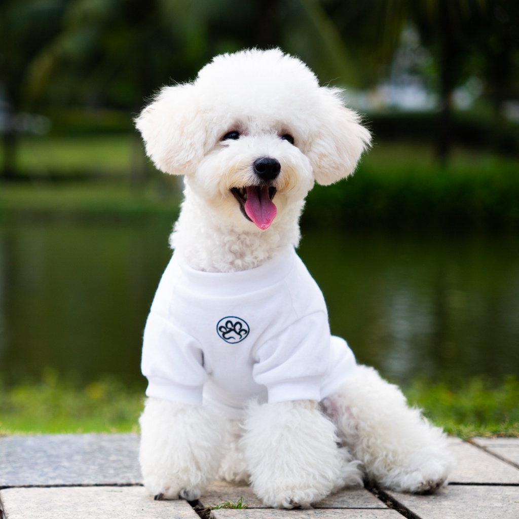 Áo cho chó Pawy Classic Trắng - Classic Dog T-shirt White