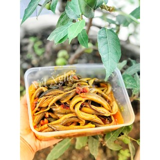 Lươn đồng ướp sẵn chuẩn vị