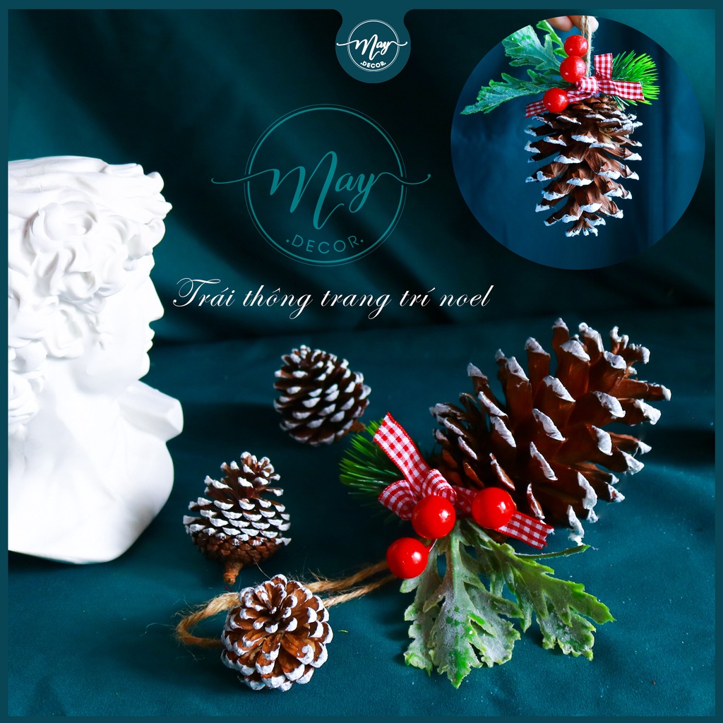 Trái thông tự nhiên trang trí noel