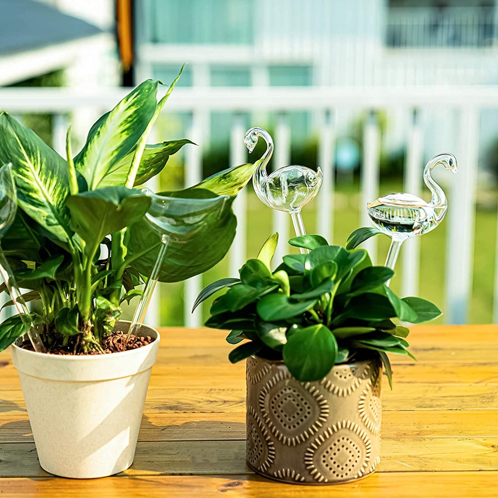 Thiết Bị Tưới Cây Tự Động Bằng Thủy Tinh Trong Suốt