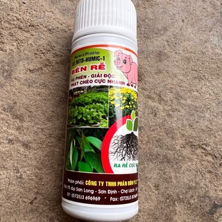 Kích rễ cực mạnh cho hoa lan