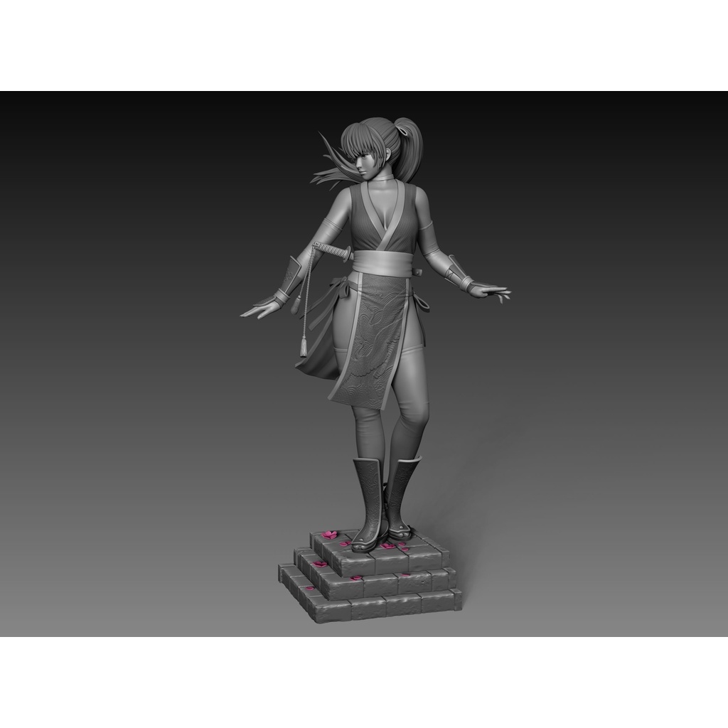 File in 3D Dead or Alive Kasumi