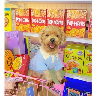 Áo thun polo dành cho chó mèo milk polo tee