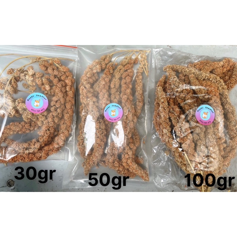 Kê chùm cho hamster