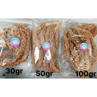 Kê chùm cho hamster [30gr / 50gr /100gr]