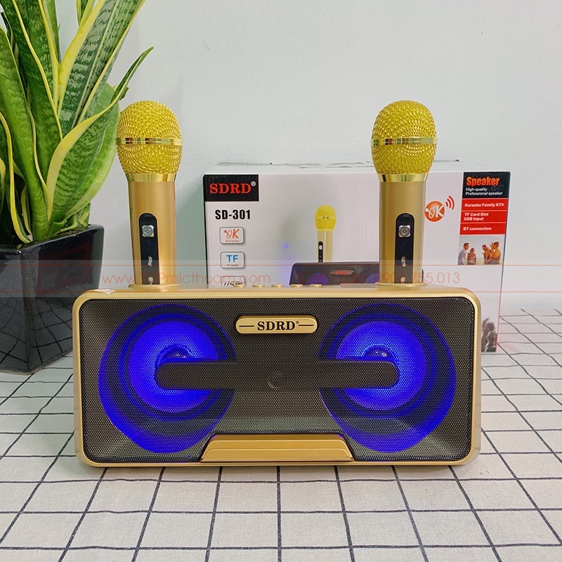 Loa karaoke Bluetooth SD-301 ( 2 mic không dây, khay để điện thoại)