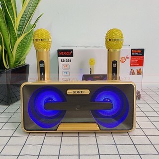  Loa karaoke Bluetooth SD-301   2 mic không dây khay để điện thoại  
