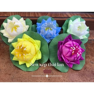 Hoa Sen ,  hoa sứ, thả nước đủ loại