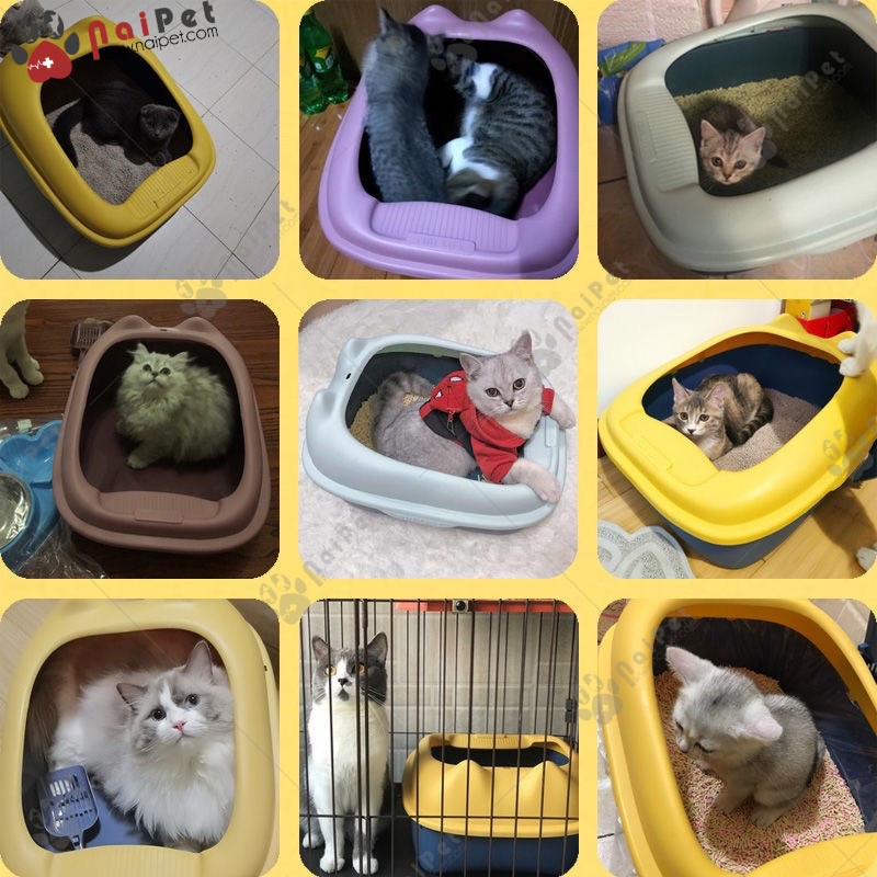 Chậu Đi Vệ Sinh Chậu Đựng Cát Hộp Đựng Cát Tai Mèo CDC018