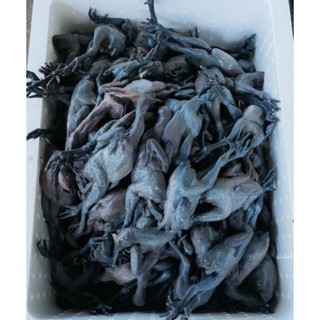 gà ác 170gr - 250gr ( combo 2 - 5 - 10 con)