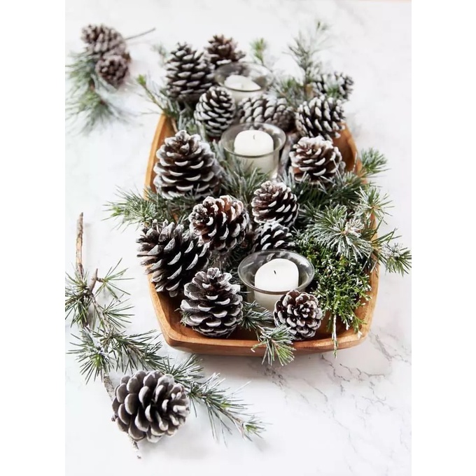 Qủa thông khô sơn nhũ gắn dây treo trang trí noel