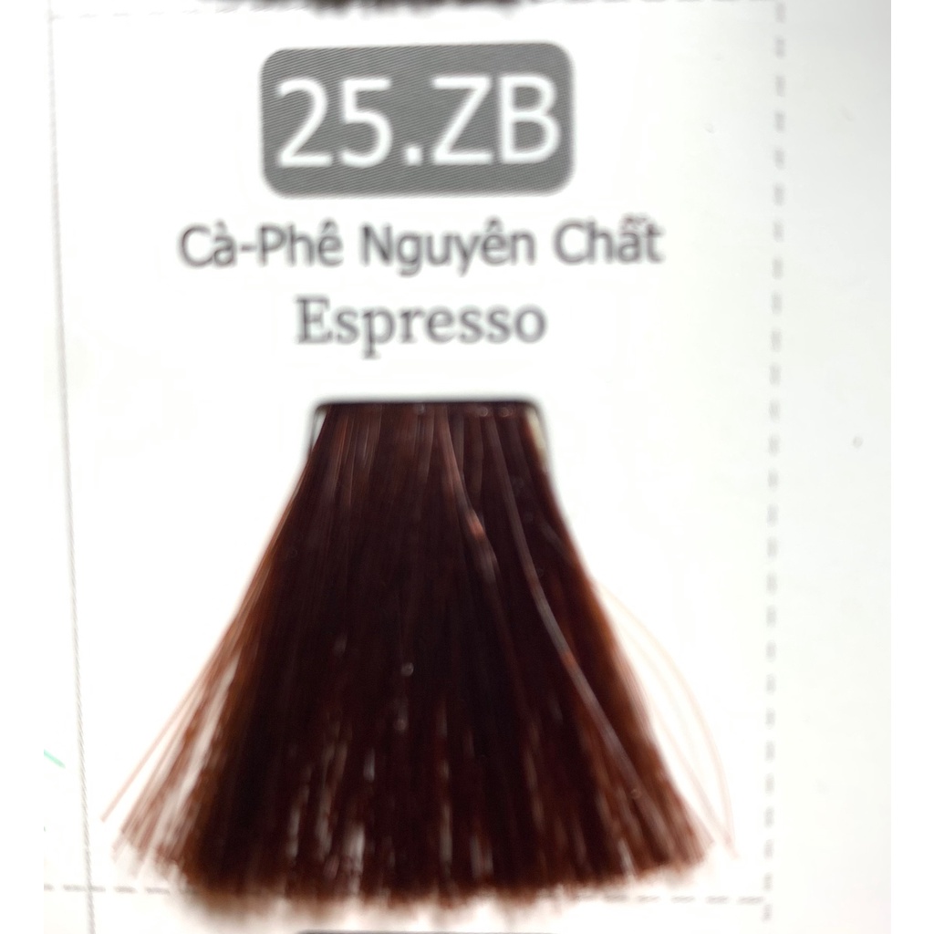 Thuốc Nhuộm Tóc Phủ Bạc Màu Nâu Cafe Nguyên Chất Espresso Cover White Hair Dye Color MPKVCL25ZB