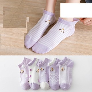 Vớ chó vương miện tím set 5 đôi