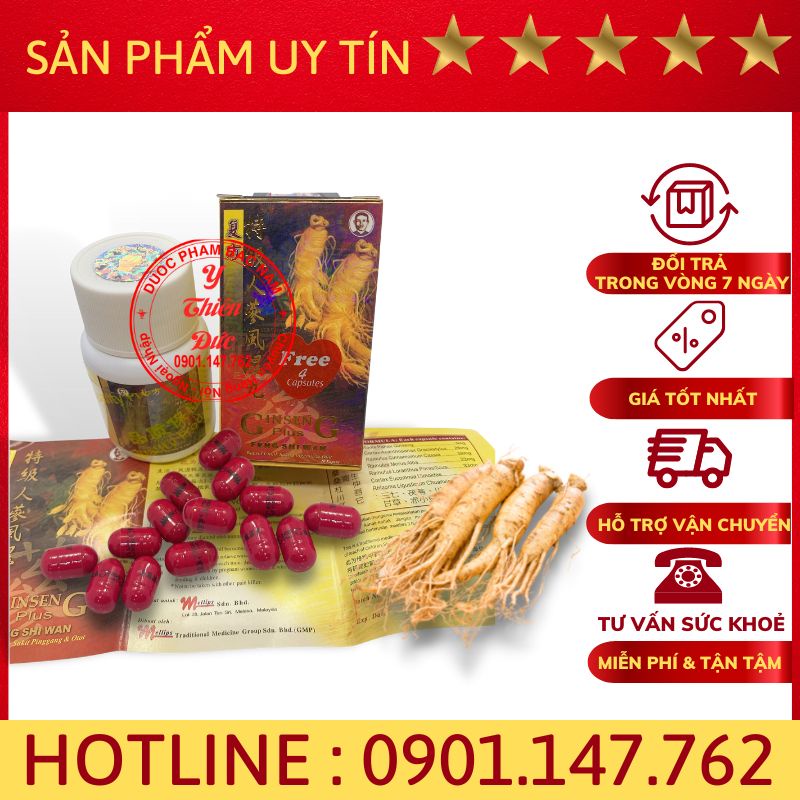 Ginseng plus feng shi wan, nhân sâm phong thấp Malaysia–Hỗ trợ xương khớp