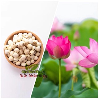 Hạt Sen Khô ,Sạch ,Thơm ( 100gr) Thảo dược Đặc sản rừng ĐSR