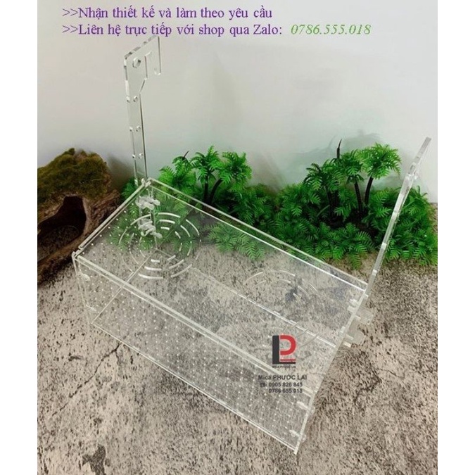 Box dưỡng tép - cá acrylic kẻ vạch cao cấp