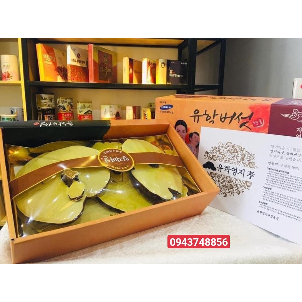 Nấm Linh Chi Vàng Chanh Hộp Quà Cao Cấp Hàn Quốc, Làm giảm quá trình lão hóa, Tăng cường hệ miễn dịch và bảo vệ gan