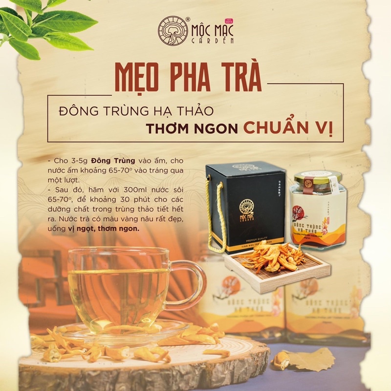 Đông trùng hạ thảo khô sấy thăng hoa MMG