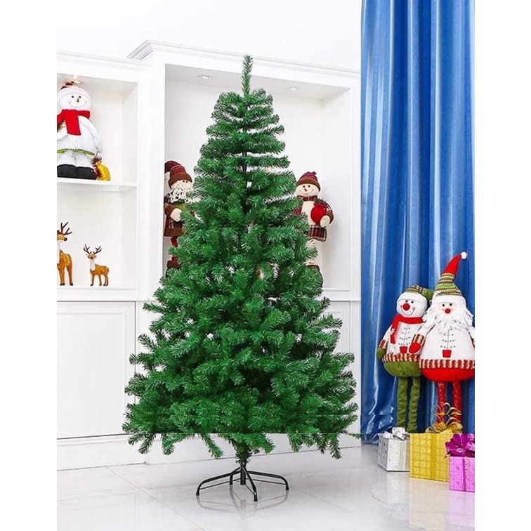 CÂY THÔNG PHỦ TUYẾT,CÂY THÔNG XANH HÀNG VIỆT NAM LOẠI 1