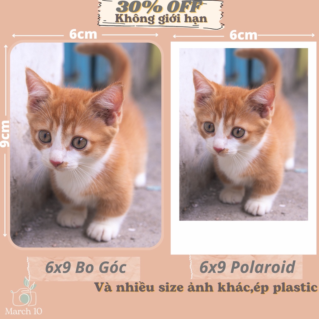In ảnh theo yêu cầu polaroid 6x9 - In ảnh bo góc - ép plastic - Ảnh In Máy Lab
