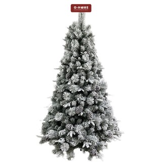 Cây thông tuyết trang trí Giáng sinh 1m8-2m1 Ghome, cây thông Noel cao cấp decor nhà CT22 M1