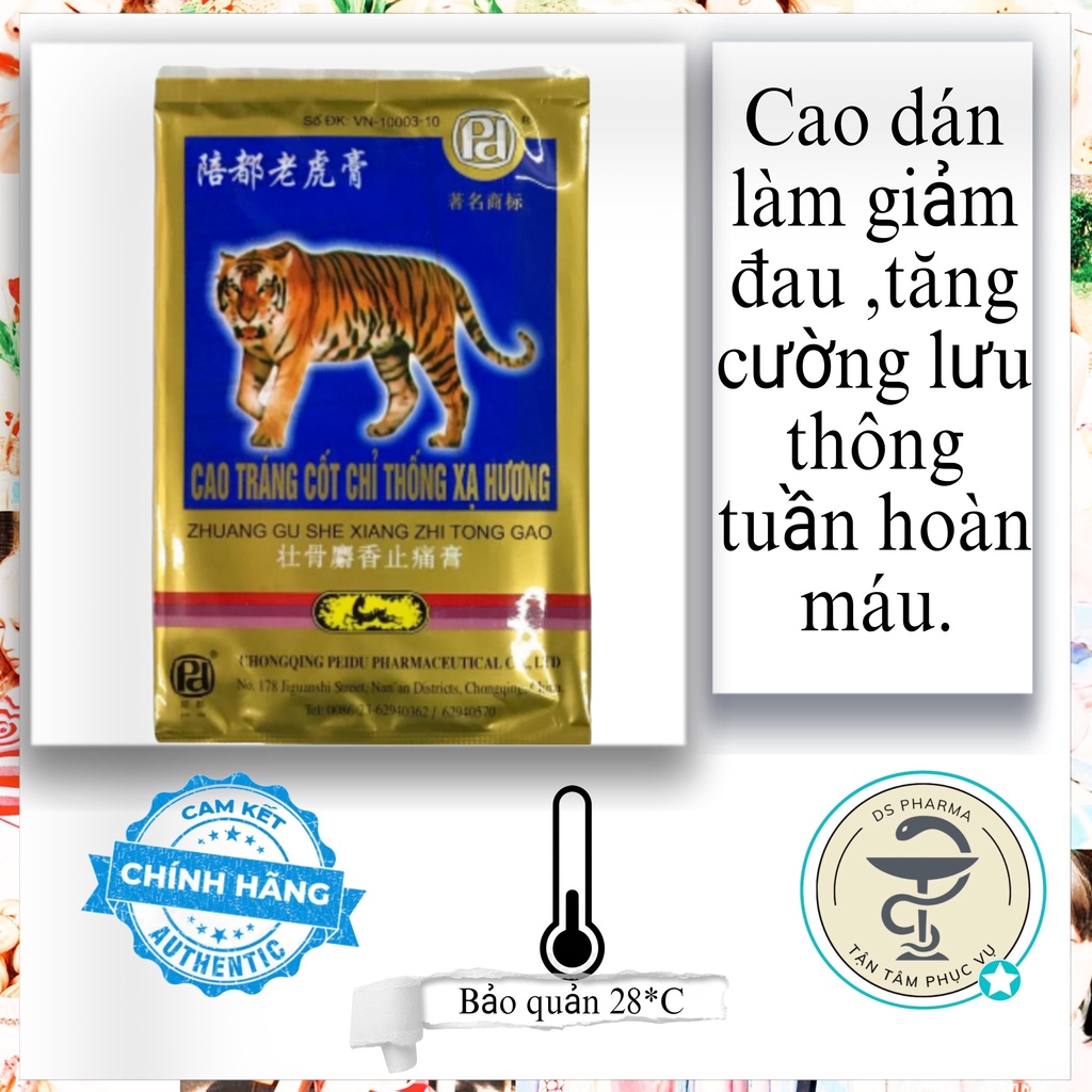 CAO DÁN CON CỌP